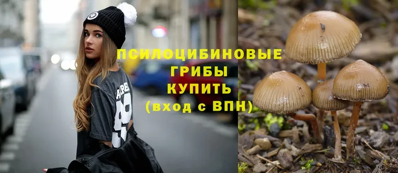 Галлюциногенные грибы Psilocybe  купить   Лебедянь 